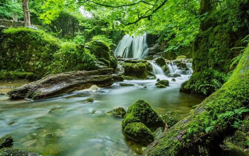 高效智慧高质量